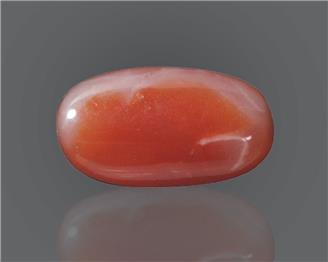 Natural Red Coral (J)  7.64 RTS - 65008